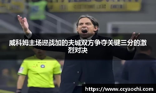 星空官网